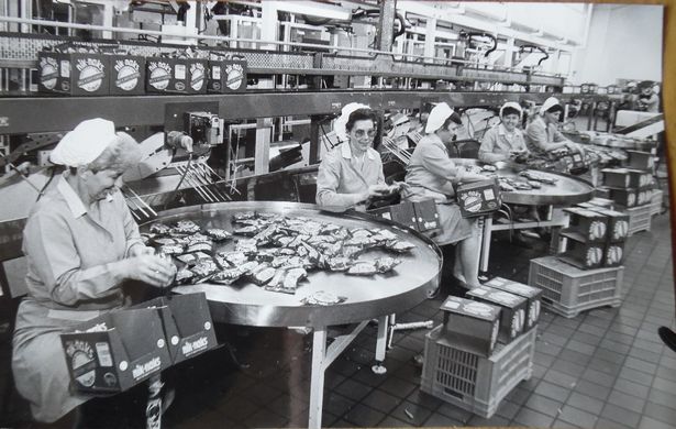 1980_fabrika_v2 1980_fabrika_v2